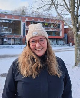 Lisanne van Velsen